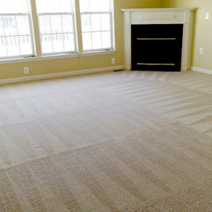 Professional-carpet-cleaning